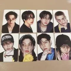 スキズ　straykids KARMA skzoo ver 封入トレカ　全員