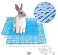 Item thumbnail for item 78fd0d88-c7ea-4efd-8e3c-a388a0455a79