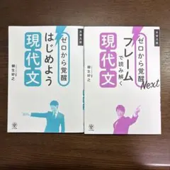 ゼロから覚醒現代文シリーズ2冊(バラ売り可)