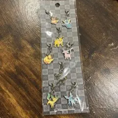 ポケモン　ブイズ　メタルチャーム　全国ずかん