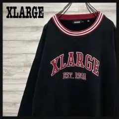 【即完売モデル】エクストララージ☆ビック刺繍ロゴ　人気デザイン　スウェット