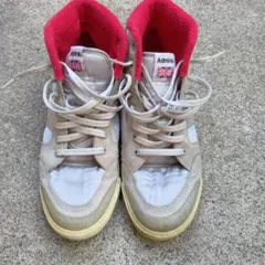 Item thumbnail for item 91f66e38-68ef-4665-b5fc-67f5752cdb6a