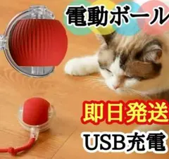 Item thumbnail for item 2bcf4454-e61c-4eae-879c-94f03307b1f3