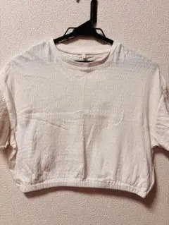 ホワイト クロップド Tシャツ 半袖