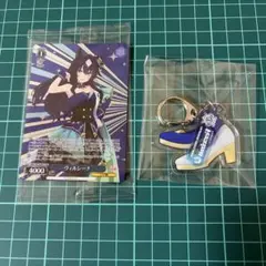 ヴィルシーナ　2点セット