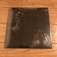 TEK - SKIN ON TRIAL CD 日本語訳付き