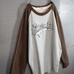 アメカジ ラグラン Tシャツ ロゴ ダメージ加工 L バイカラー グレー 茶のサムネイル