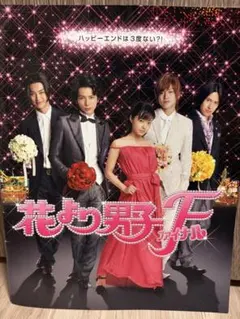 美品 映画「花より男子ファイナル」劇場 パンフレット