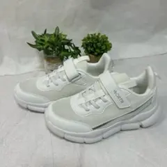 Item thumbnail for item 815dba8f-6cd9-4158-aabd-1830a6a9a846