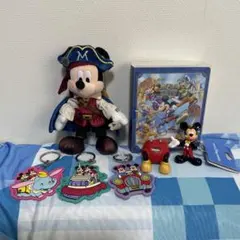 ディズニー　ぬいぐるみバッジ、カードホルダー キーチェーン、充電器セット