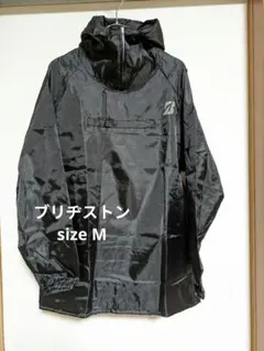 Item thumbnail for item e742fb18-ad67-4262-be6e-8491d59a170e