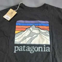 Item thumbnail for item cf4bdd88-1f88-42b5-b6a0-3a33db898f61