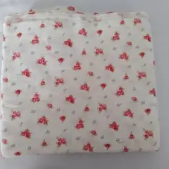 Item thumbnail for item 591a57b2-4894-4b91-86cd-cf9e673ea815