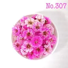 かすみ草　ピンク　ドライフラワー　No.307