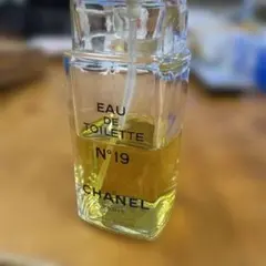 CHANEL N°19 Eau de Parfum 100ml