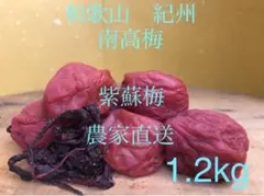 和歌山 紀州 みなべ 南高梅 梅干し 無添加 今月号の雑誌ESSEに掲載中