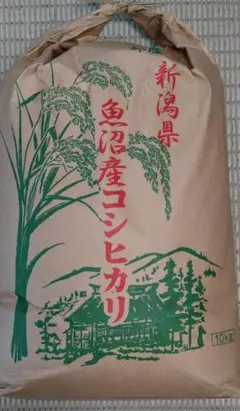 令和7年産 コシヒカリ 玄米25kg 愛媛県産 減農薬 農家直送 送料込み 13