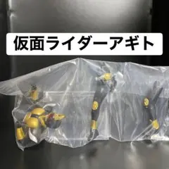 仮面ライダー HGレジェンドライダー vol.5【仮面ライダーアギト】②