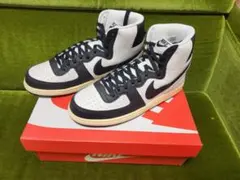 ナイキ ターミネーターハイ