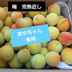 和歌山県産 完熟南高梅‼️3L〜4L混合‼️2kg みかんキング - メルカリ