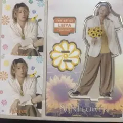瀬口黎弥　アクスタフォトカ セットFANTASTICS SUN FLOWER