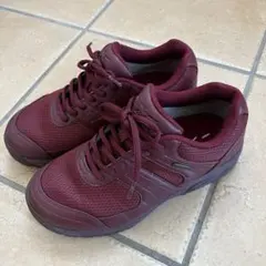 MIZUNO ミズノ ウォーキングシューズ　 GORE-TEX 22.5㎝