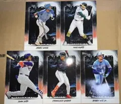 ギズモ様 リクエスト 2点 まとめ商品