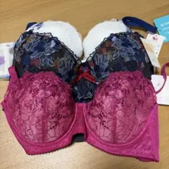 ワコール Wing Lesiage ブラジャー 3点セット C80
