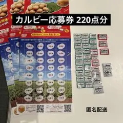 カルビー　応募券　671点分　匿名配送 2025年最新カルビー応募券の人気アイテム - メルカリ