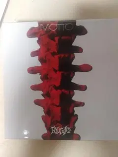 龍宮城 完全生産限定盤 アクスタあり トレカ無し MOTTO - メルカリ