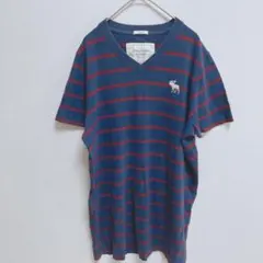 アバクロンビーアンドフィッチ　Tシャツ 　ストライプ　 Vネック　L　ネイビー