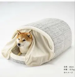 Item thumbnail for item 34b042b6-4efc-4f55-80ea-fb757a32f92a