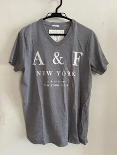 Abercrombie & Fitch Vネック Tシャツ グレー Lのサムネイル