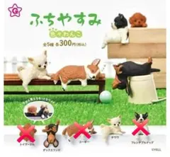 ふちやすみ 色々わんこ カプセルトイ