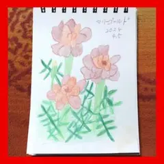 今年８８歳になるおばあちゃんの鉛筆画【マリーゴールド】イラスト 絵画 色鉛筆画