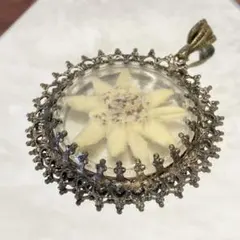 エーデルワイス　押し花　ペンダントトップ　チャーム　ドイツ　ヴィンテージ