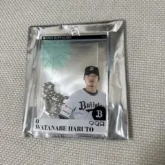 オリックス バファローズ コロチャレ　アクリルキーホルダー C賞 渡部遼人