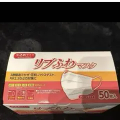 リブふわWマスク プレミアム Premium 30箱 1200枚 花粉症 風邪 - メルカリ