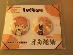 【即日発送】ハイキュー‼︎ 日向翔陽　缶バッジ2個セットTaS10th