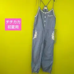 チチカカサロペットのサムネイル
