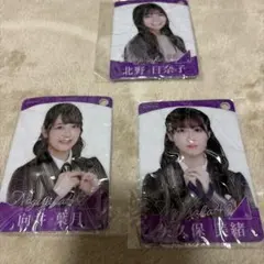 Item thumbnail for item 09c17003-6767-4f61-83c6-59a9c7004943