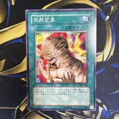 2026年最新】遊戯王 メタモルフォーゼの人気アイテム - メルカリ