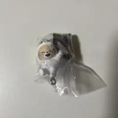 SKZOO ガチャ つまんでつなげてますこっとvol.2 フォクシニー