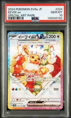 ケーキ イーブイex SAR テラスタルフェスex PSA10