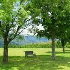 aki☆様専用ページ