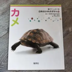 Item thumbnail for item 75cdc343-9219-4318-b9dd-44a68032a79b