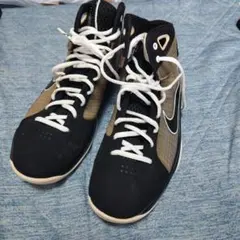 ナイキハイパーダンクのサムネイル
