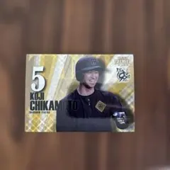 Item thumbnail for item 321deef9-fbba-4098-bf86-06a700831851