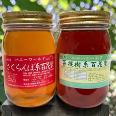 希少　生はちみつ　菩提樹系百花蜜　さくらんぼ系百花蜜　各600g2本セットのサムネイル