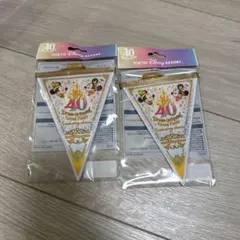 ディズニーランド 40周年 ガーランド グランドフィナーレ　２つセット